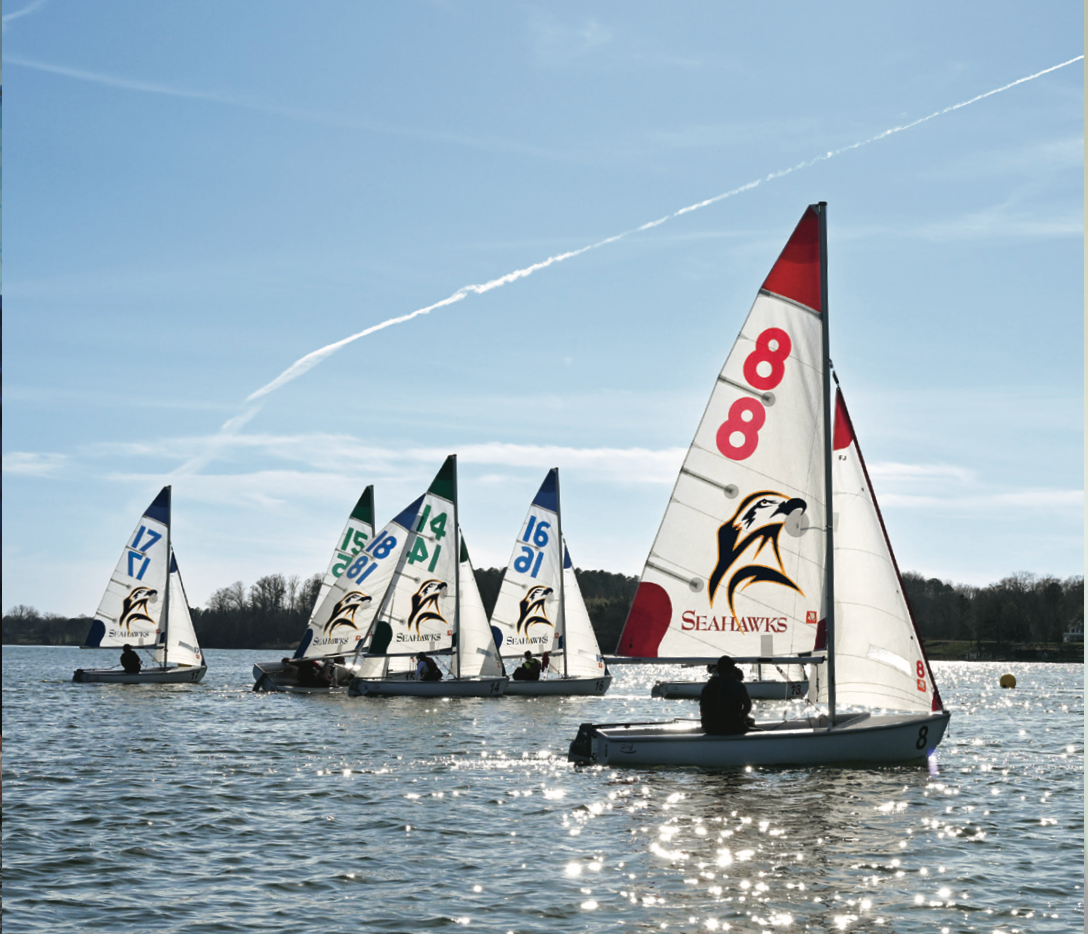 Five small sailboats with colorful sails are competing on a sunny day, gliding over a calm body of water. Each sail displays a seahawk logo and a number. A narrow trail of white clouds stretches across the blue sky.